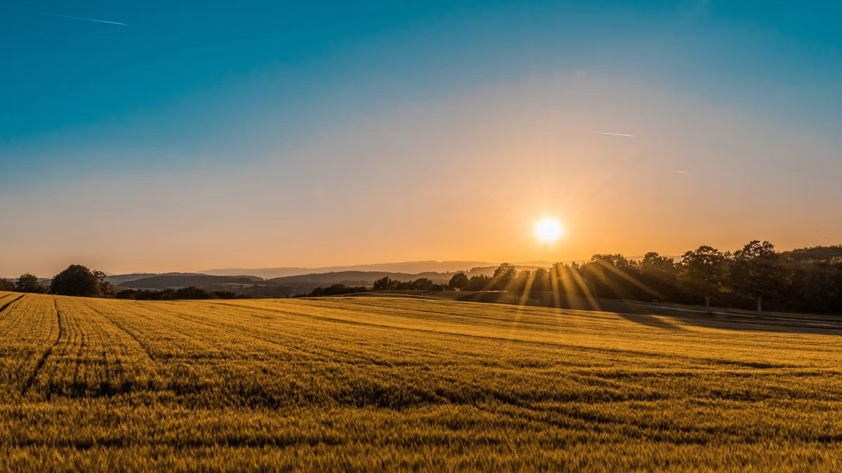 Open landscape representing trusted environmental data